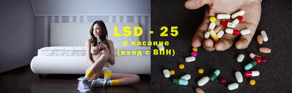 прущие грибы Сафоново