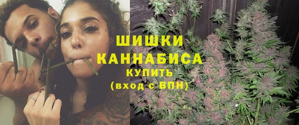 прущие грибы Сафоново