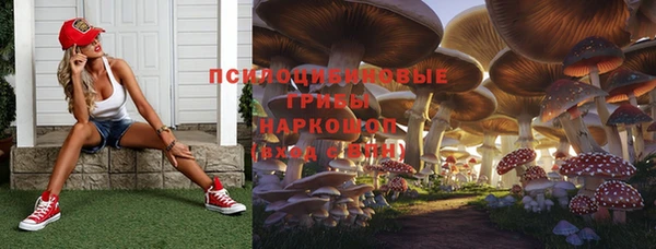 наркотики Абаза
