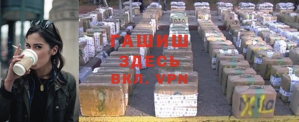 прущие грибы Сафоново