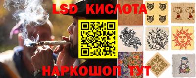 молекула духа Пенза