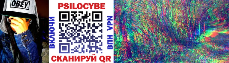 цены   Алапаевск  Галлюциногенные грибы Psilocybine cubensis 