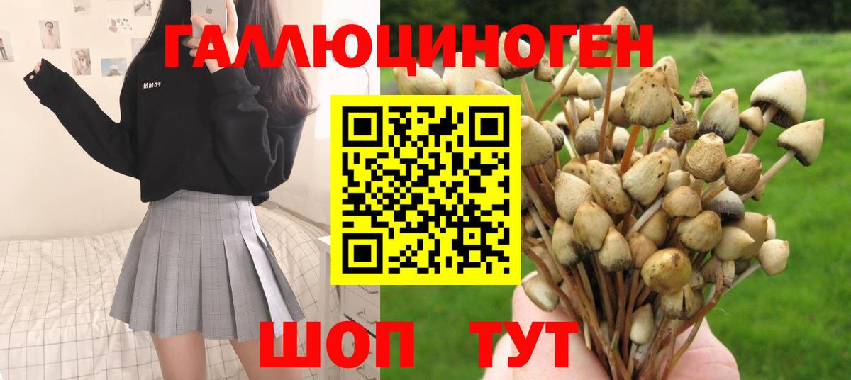 Псилоцибиновые грибы мицелий Алапаевск